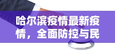 哈尔滨疫情最新疫情，全面防控与民生保障并重的挑战与应对