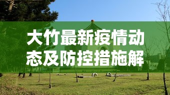 青島最新疫情，全面防控与民生保障的双赢之路