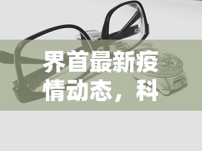 界首最新疫情动态，科学防控，共筑安全防线