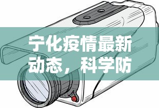 宁化疫情最新动态，科学防控，共筑安全防线