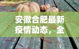 安徽合肥最新疫情动态，全面防控与民生保障并重的应对策略