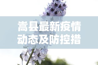 疫情最新土耳其，挑战与希望并存的抗疫之路