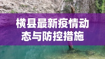 横县最新疫情动态与防控措施