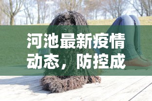 河池最新疫情动态，防控成效显著，但仍需保持警惕