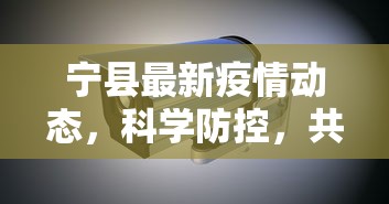 宁县最新疫情动态，科学防控，共筑安全防线