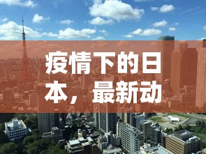 今日分享“微信斗牛链接房卡在哪里”获取房卡教程