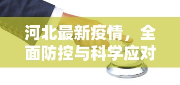 河北最新疫情，全面防控与科学应对