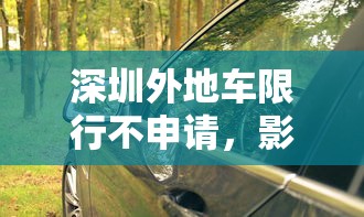 深圳外地车限行不申请，影响、挑战与对策