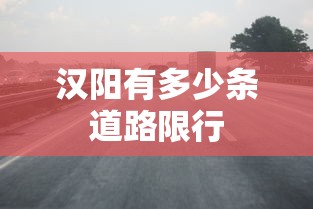 汉阳有多少条道路限行