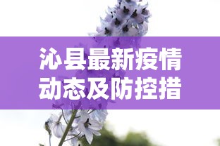 三分钟解答“玩金花链接房卡怎么买”链接教程