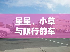 星星、小草与限行的车，城市中的自然哲学