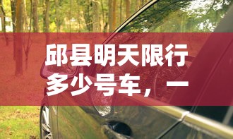 邱县明天限行多少号车，一场关于环保与交通管理的深度探讨