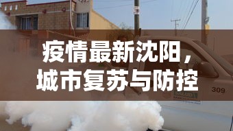 详解安阳市限行区域图，规划、实施与影响