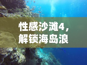 性感沙滩4，解锁海岛浪漫与冒险的终极攻略