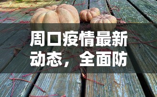 周口疫情最新动态，全面防控与民生保障并重的应对策略