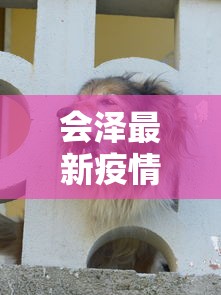 会泽最新疫情动态，防控成效显著，但仍需保持警惕