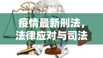 疫情最新刑法，法律应对与司法实践