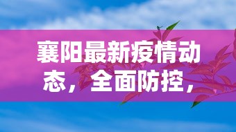 襄阳最新疫情动态，全面防控，科学应对