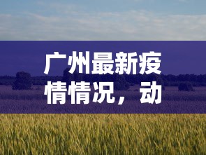 广州最新疫情情况，动态变化与防控措施