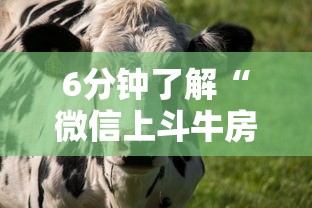 6分钟了解“微信上斗牛房间怎么开？”链接找谁买