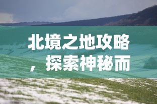 玩家必备“网页炸金花链接房卡怎么充值”详细介绍房卡使用方式