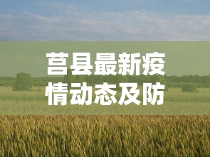 莒县最新疫情动态及防控措施综述