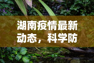 湖南疫情最新动态，科学防控，精准施策，共筑健康防线