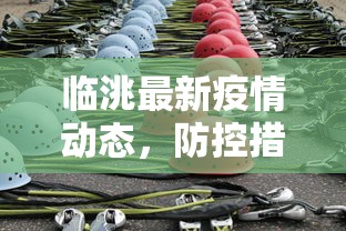 临洮最新疫情动态，防控措施升级，全民共筑安全防线