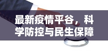 最新疫情平谷，科学防控与民生保障并重的应对策略