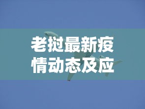 老挝最新疫情动态及应对策略