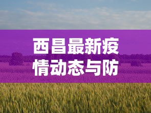 西昌最新疫情动态与防控措施全面解析