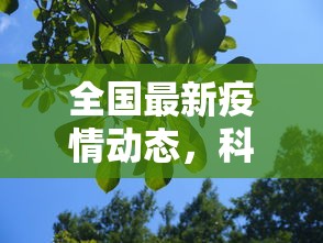 全国最新疫情动态，科学防控，精准施策，共筑健康防线