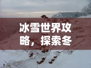 冰雪世界攻略，探索冬日奇境，尽享冰雪盛宴