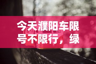 今天濮阳车限号不限行，绿色出行，共筑美好家园