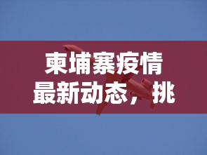 柬埔寨疫情最新动态，挑战与应对策略