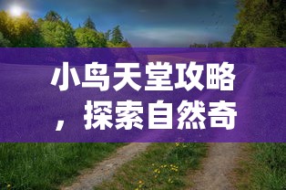 小鸟天堂攻略，探索自然奇观与生态之旅