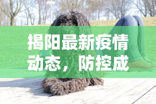 揭阳最新疫情动态，防控成效显著，但仍需保持警惕