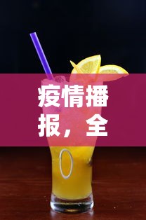 疫情播报，全球最新疫情动态及应对策略