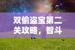 双偷盗宝第二关攻略，智斗与勇气的双重考验