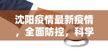 沈阳疫情最新疫情，全面防控，科学应对