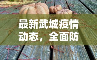 最新武城疫情动态，全面防控与民生保障并重的应对策略