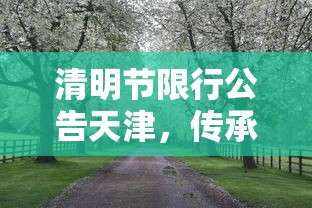 清明节限行公告天津，传承文化，共筑绿色清明