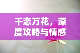 千恋万花，深度攻略与情感解析