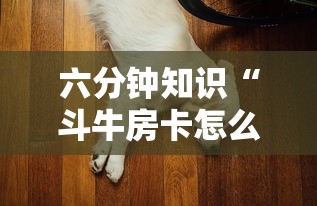 六分钟知识“斗牛房卡怎么弄”详细介绍房卡使用方式 六分钟知识“斗牛房卡怎么弄”详细介绍房卡使用方式