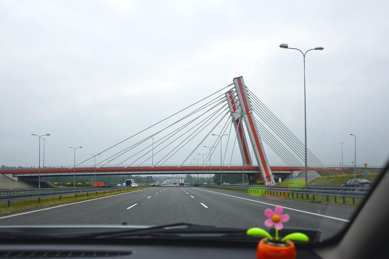 顺意应天为正道是什么意思？顺意应天为正道是什么意思