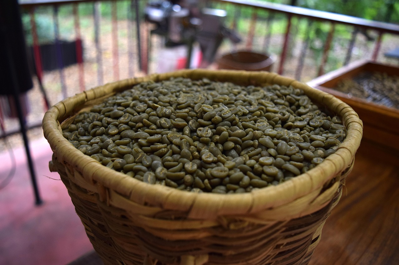 穿心萍一天吃几次？穿心莲一天吃几粒