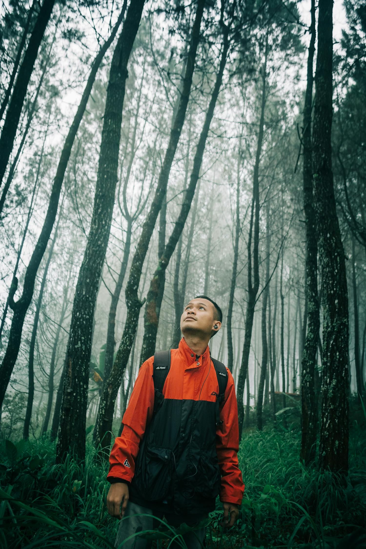 徒步旅行者几天前在加州森林里失踪了警方称，目前已经发现了一具尸体