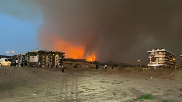 Wildfire briefly halts marine traffic on ?anakkale strait