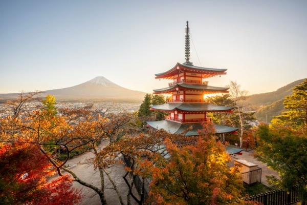 Multiple travel experts pointed to their Japanese travels as costlier vacations that were well worth the price tag.