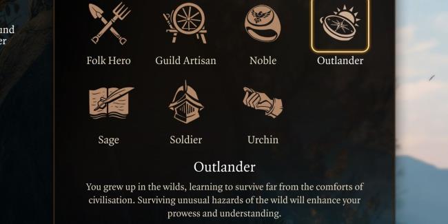 Baldur's Gate 3 Outlander Background